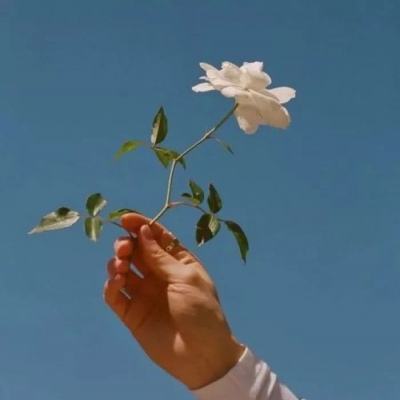 绝色幻想手游下载